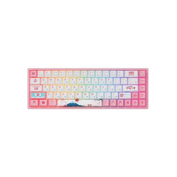 Akko World Tour Tokyo R2 RGB 65% Mechanical Keyboard