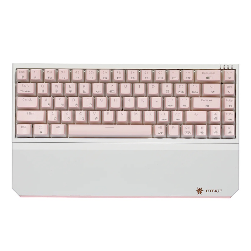 Hexgears PowerBlade X1 Pro Wireless 65% Mechanical Keyboard (Pink Pudding)