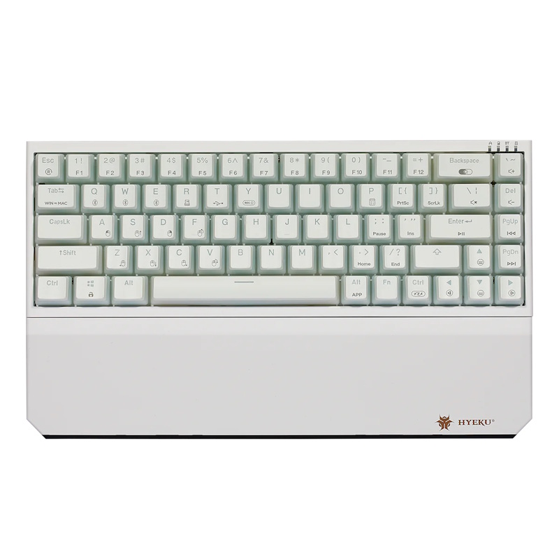 Hexgears PowerBlade X1 Pro Wireless 65% Mechanical Keyboard (White Pudding)