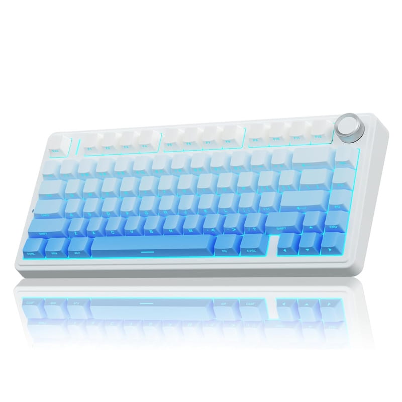 Epomaker x AULA F75 Pro (Gradient Blue) Mechanical Keyboard