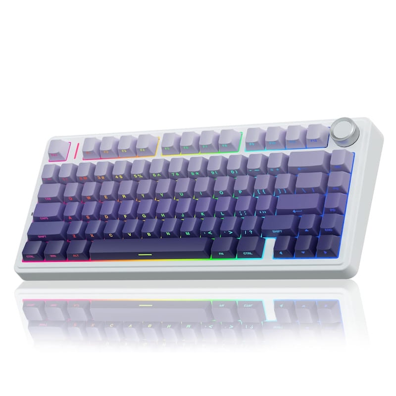 Epomaker x AULA F75 Pro (Gradient Purple) Mechanical Keyboard