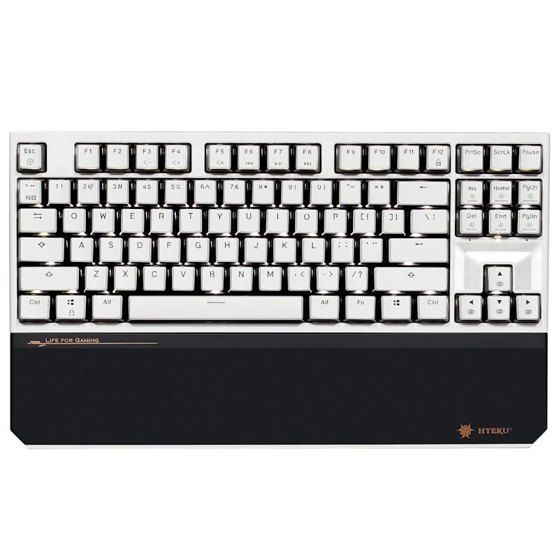 Hexgears PowerBlade X3 TKL Wireless Mechanical Keyboard (White & Black)