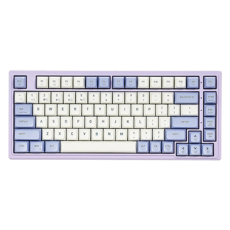 Hexgears Purple Rain M2 75% Mechanical Keyboard (Purple & White)